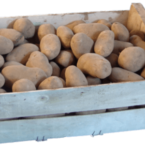 POMME DE TERRE  - 1 kg - 2,10 €/kg - chair tendre  -